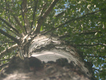 Fotoblog ajlovjubaby