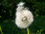 Fotoblog malina9971