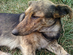 Fotoblog przemek1299