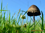 Fotoblog cianciuk