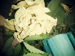 Fotoblog adriannaa1