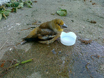 Fotoblog ojczenasz