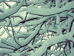 Fotoblog arishaa