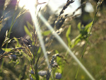 Fotoblog 290895