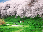 Fotoblog stephanosgirlfriend