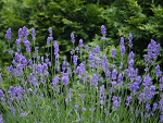 Fotoblog tilka91