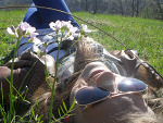 Fotoblog gelcia598