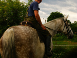 Fotoblog gogo1243