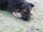 Fotoblog kochana95