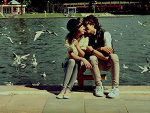 Fotoblog bojawolezelki3