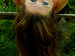Fotoblog flower05