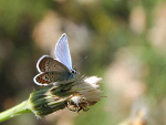 Fotoblog 1100d