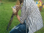 Fotoblog efillo
