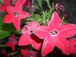 Fotoblog krycha8546