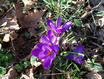 Fotoblog rancho19