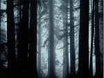 Fotoblog manymoney77