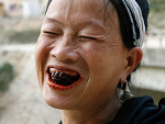 Fotoblog chicken237r