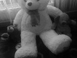 Fotoblog lolciaaa73