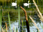 Fotoblog pieceof