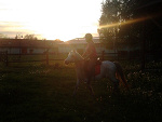 Fotoblog koniara1050