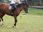 Fotoblog julka0917
