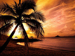 Fotoblog yourweaknesss
