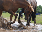 Fotoblog loczek98