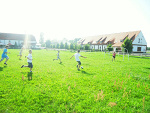 Fotoblog cameleonn