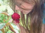 Fotoblog wiki1191