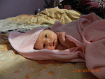 Wpis bzziuumm