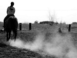 Fotoblog majesticphotography