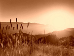 Fotoblog mrsfantastic