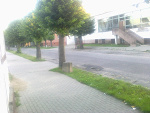 Fotoblog puniek77