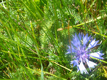 Fotoblog zziutek