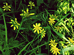 Fotoblog alexxowa