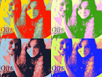 Fotoblog funrollypolly