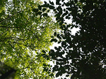 Fotoblog 2012werka