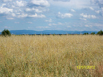 Fotoblog tarantitla