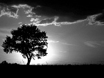 Fotoblog misieknooo