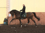Fotoblog myhorselover