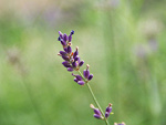 Fotoblog nathaliaxdd