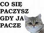 Fotoblog martyna180421
