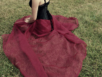 Fotoblog wilderrose