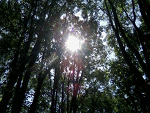 Fotoblog xkamilxd