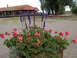 Fotoblog veriollaa