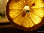 Fotoblog balessia