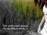 Fotoblog korciaaa14