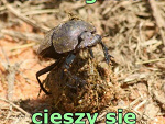 Fotoblog zimowedomatiza
