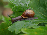 Fotoblog holmes1
