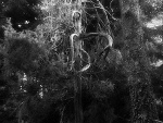 Fotoblog blackfeathers